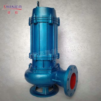 大型無(wú)堵塞污水泵